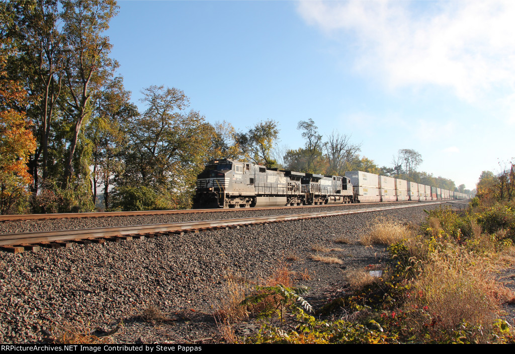 NS 9882 and 4141